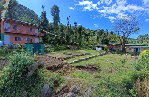 Dugalbitta House | Chopta Eco Cottage & Camping