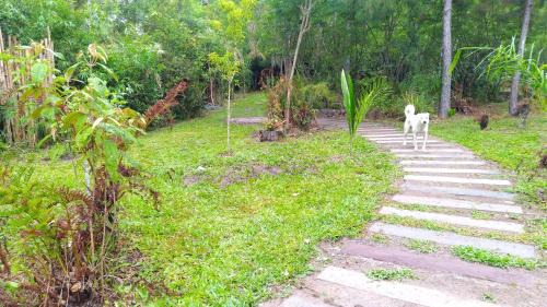 Sapiranga Other | Choupana das Araucárias