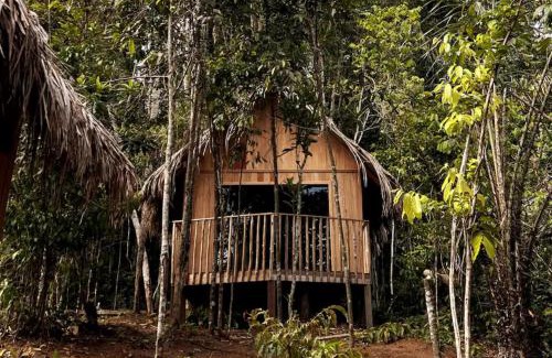 Novo Airao Other | Choupanas Awa - All inclusive em Anavilhanas