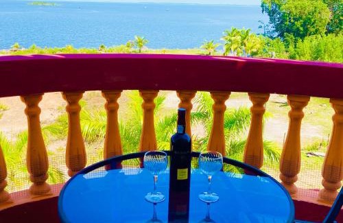 Belize City Apartment | Chupaflor - Alexander Luxury & Executive Suites