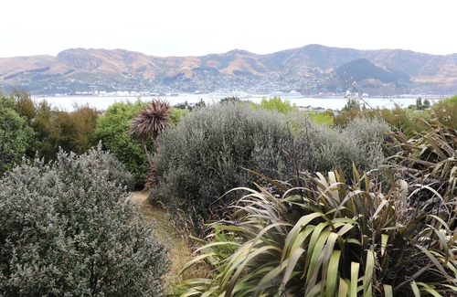 Diamond Harbour Cottage | Church Bay cabin: sunny, great views