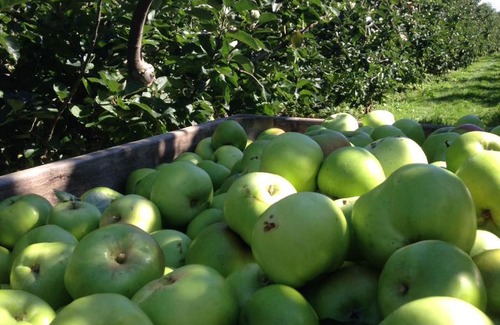 Bradfield Combust Bed & Breakfast | Church Farm B&B Suffolk