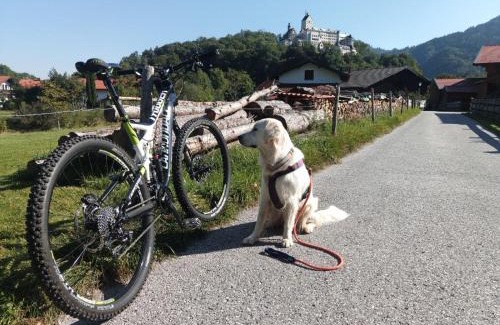 Aschau im Chiemgau Apartment | ciao-aschau Gschwendtnerhof Ap26 Faust