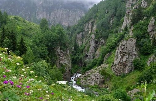 Camlihemsin House | cicekli pansiyon camping