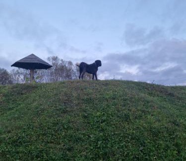Idena House | Cielavas ligzda