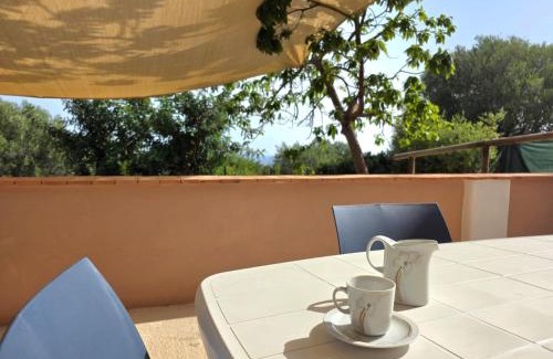 Marina Di Camerota Apartment | Cilento Vista Mare