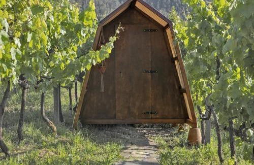 Castelo de Paiva House | Cimo da Vinha - Nature Spot