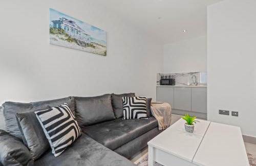 Roath Apartment | Cinema Studio Room with Spa Facilities For Couples