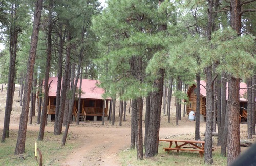 Alpine Cabin | Circle Pine Ranch- "The Real Log Cabin Experience"