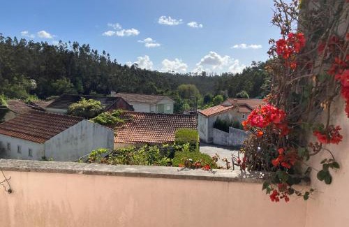 Albergaria-a-Velha House | Citrus Tree House, private pool and garden.