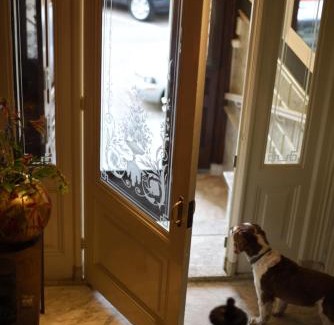 De Weteringschans Bed & Breakfast | City B&B Villa Nicola