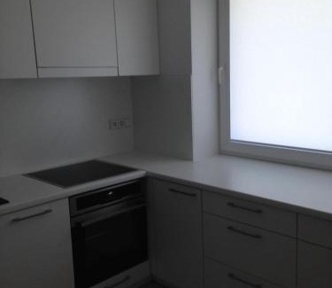 Alytus Apartment | City center apartment