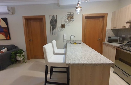 Downtown Santo Domingo Apartment | City Center With Pool and Gym in Santo Domingo