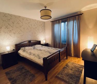 Reghin Apartment | City Centre Apartment