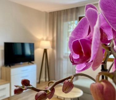 Stara Zagora Apartment | City Centre Bright & Cozy Apartment for 4 persons