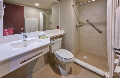 Toluca Apartment | City Express by Marriott Suites Toluca