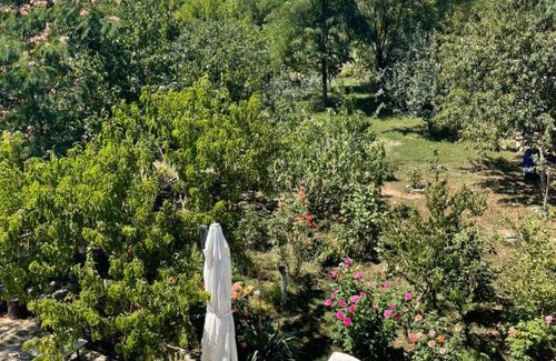 Popesti-Leordeni House | City Garden Escape