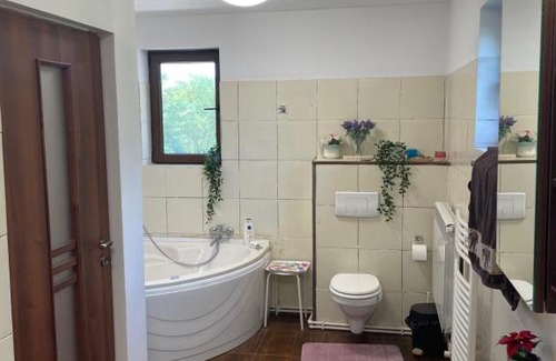 Popesti-Leordeni House | City Garden Escape