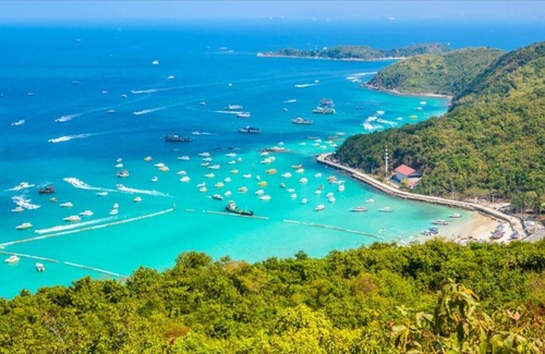 Pratumnak Hill Apartment | City Garden Pratumnak Condominium In Cosy Beach