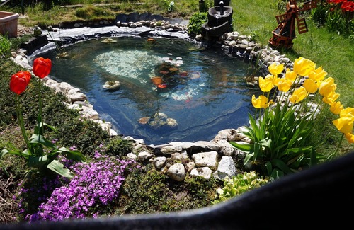 Niederberg Apartment | City Near Flat Ehrenbreitstein 65m² with large garden