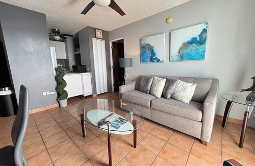 Rio Piedras Apartment | City Skyline from 17th Floor - Parking & Gym