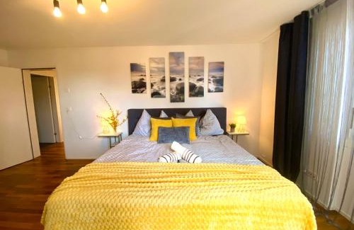 Unterstrass Apartment | City Views Apartment am Schaffhauserplatz