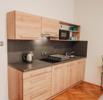 Pilsen Apartment | CityBeat Apartments, 400m from the square