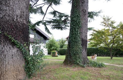 Tarcento House | Cjase mê