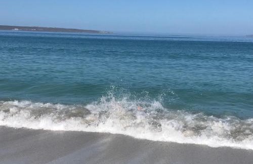 Calypso Beach Apartment | Clam Lagoon