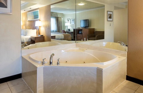 Romulus Hotel | Clarion Hotel Detroit Metro Airport