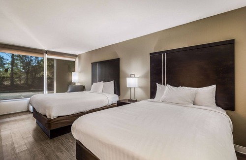 Florence Hotel | Clarion Inn & Suites Florence - Darlington