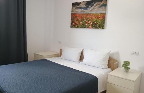 Tractorul Apartment | Clasificat - Cazare Grupuri Brasov Ap 2dormitoare si living - Vouchere, factura, Petfriendly, ADMINRO SRL