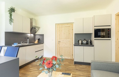 Eisenerz Apartment | Classic Apartment with Whirlpool bath