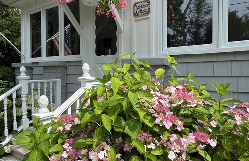 Leland House | Classic Cottage in the Heart of Leland