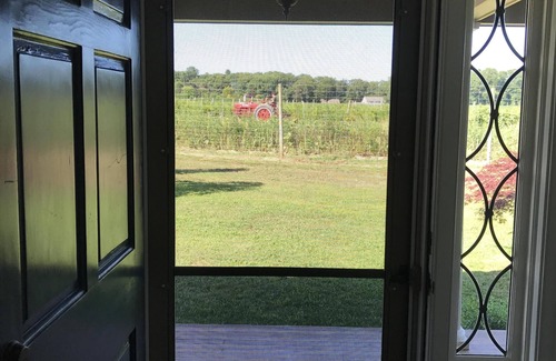 Water Mill House | Classic Farm House in the heart of Water Mill, 2.7mi To Beach