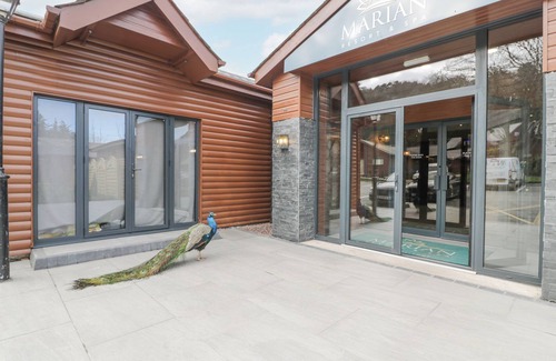 Dyserth Cottage | Classic Lodge 16