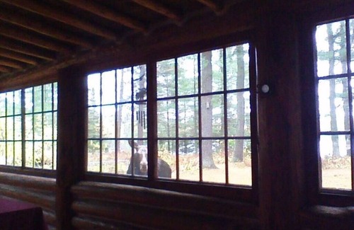 Republic House | Classic Lodge on Private Lake