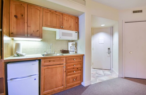 Oro-Medonte Apartment | Classic Spacious Studio Suite!
