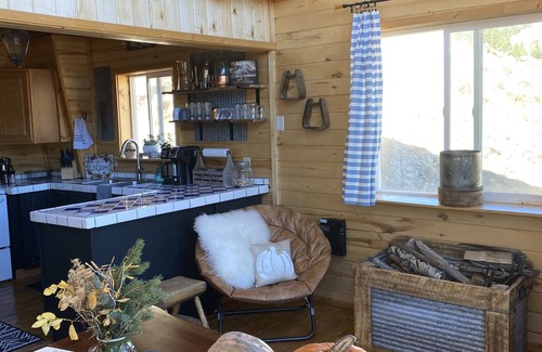 Creede Cabin | Clean cabin amid Nat Forest with private creek access, Wi-Fi, and pet friendly!