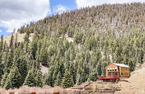 Creede Cabin | Clean cabin amid Nat Forest with private creek access, Wi-Fi, and pet friendly!