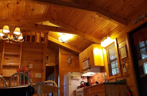 Waynesville Cabin | Clean, private cabin just 3 miles to Waynesville on a paved road. 1 of 2 cabins