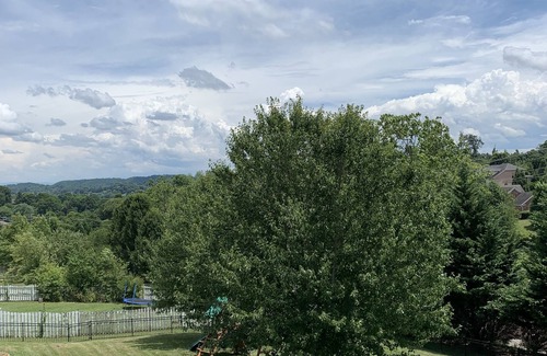 Johnson City Apartment | Close to Brights zoo, close to Jonesborough and Bristol Race, Freedom Hall