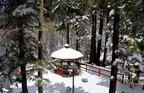 South Lake Tahoe House | Close To Everything, but Away From It All! Pet Friendly Paradise Forest Back