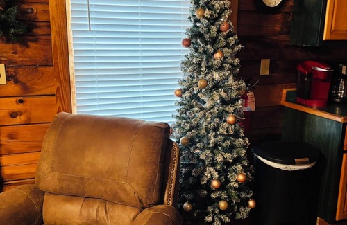 Sevierville Cabin | Close to Sevierville Convention Center, Wilderness Resort, downtown Sevierville!