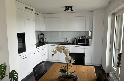Rorschacherberg Condo | Close to the lake (300 meters) 126 sqm living space/4-6 beds