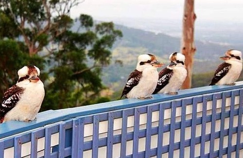 Eagle Heights House | CLOUD 9 - Cliff Top Eagle Heights. Family Friendly