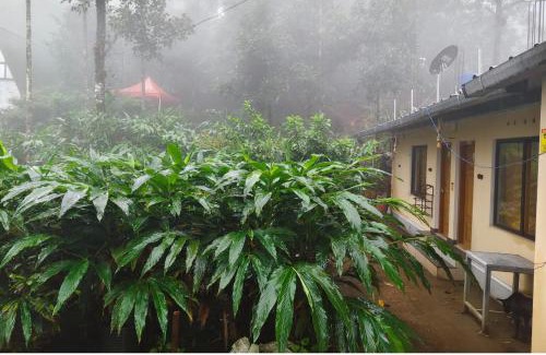 Vagamon House | CLOUD HUG'S COUPLES STAY Rooms Vagamon