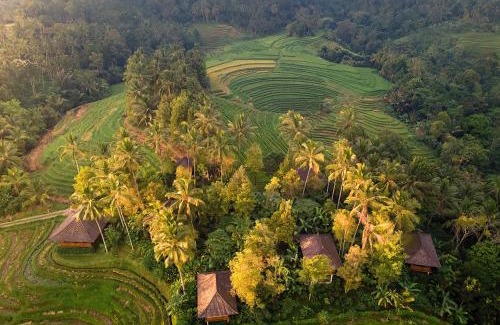 East Selemadeg Resort | Clove Tree Hill