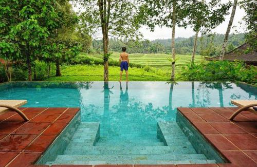 East Selemadeg Resort | Clove Tree Hill