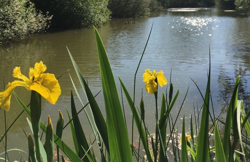 Castle Bytham Cottage | CLOVER - sleeps 2 guests in 1 bedroom